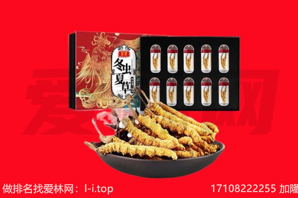 洛阳瀍河区回收虫草.jpg